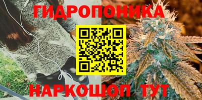 молекула духа Бузулук