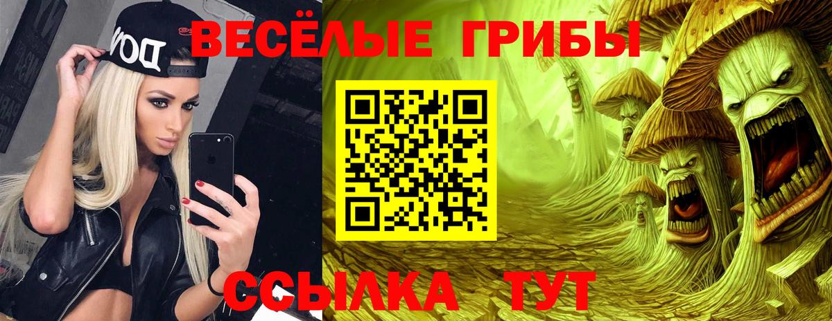 Галлюциногенные грибы Psilocybe  Вход с VPN  Фролово 