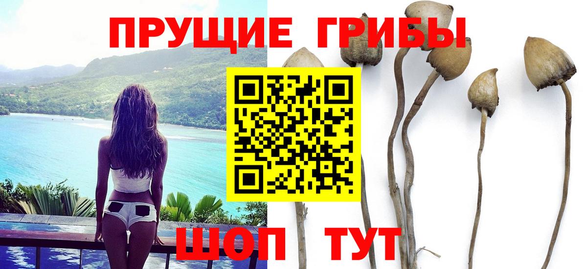 Галлюциногенные грибы мухоморы Фролово